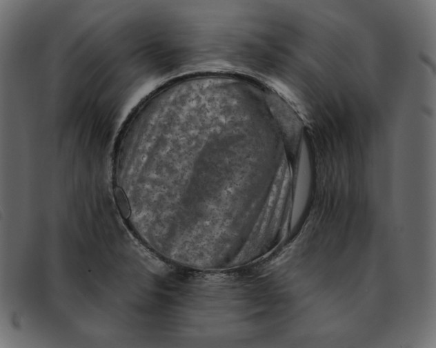 X0000092251326200710121251