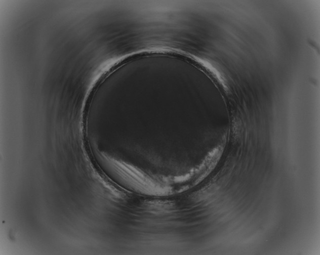 X0000092251327200710121251