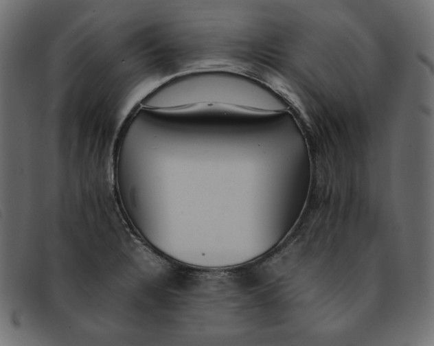 X0000092251328200710121251