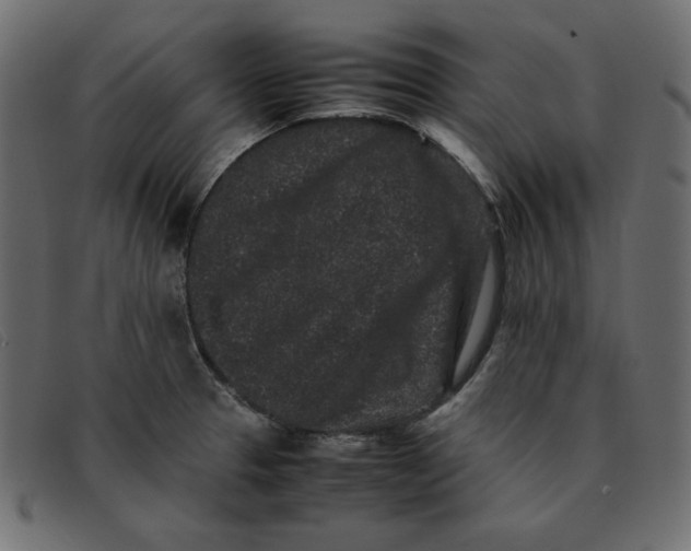 X0000092251329200710121251