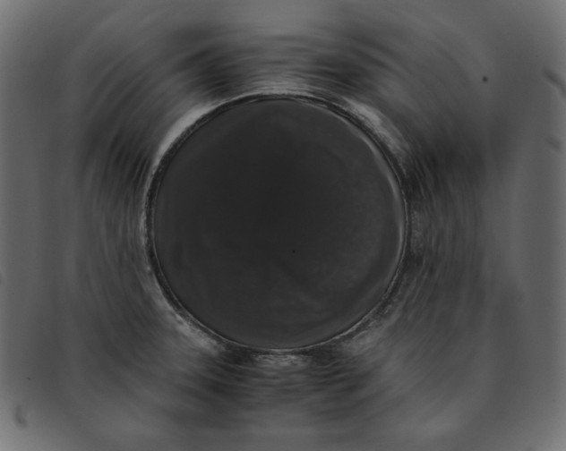 X0000092251331200710121251