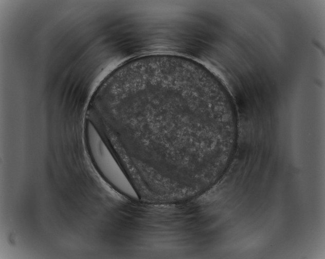 X0000092251333200710121251