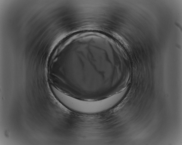 X0000092251334200710121251