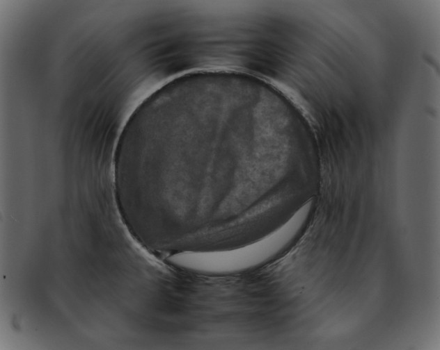 X0000092251335200710121251