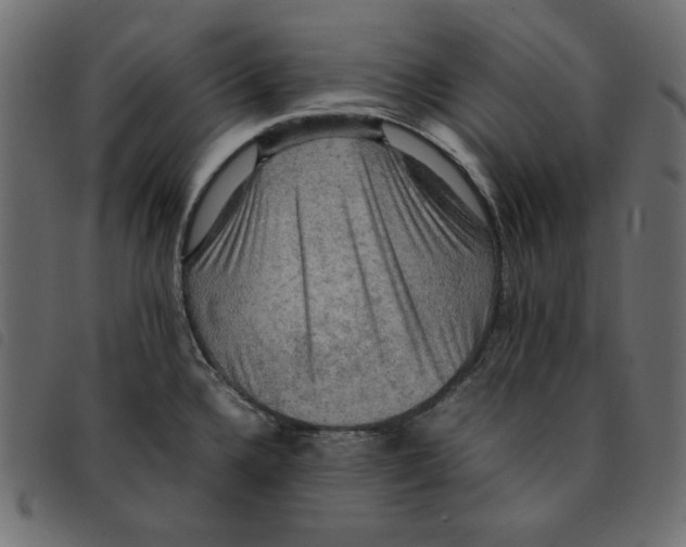 X0000092251336200710121251