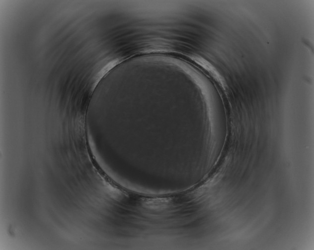 X0000092251337200710121251