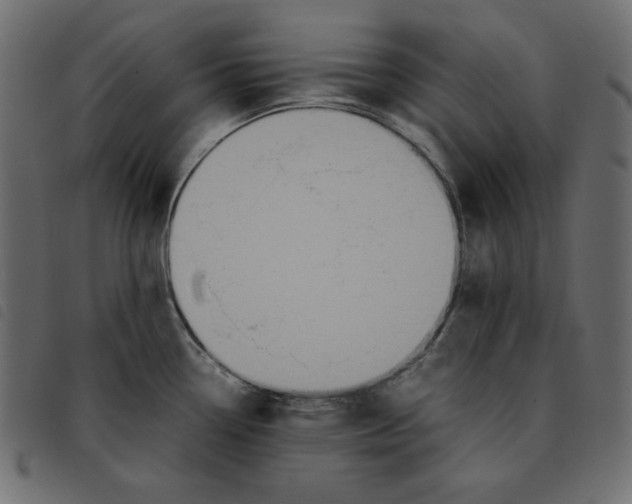 X0000092251338200710121251