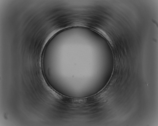 X0000092251339200710121251