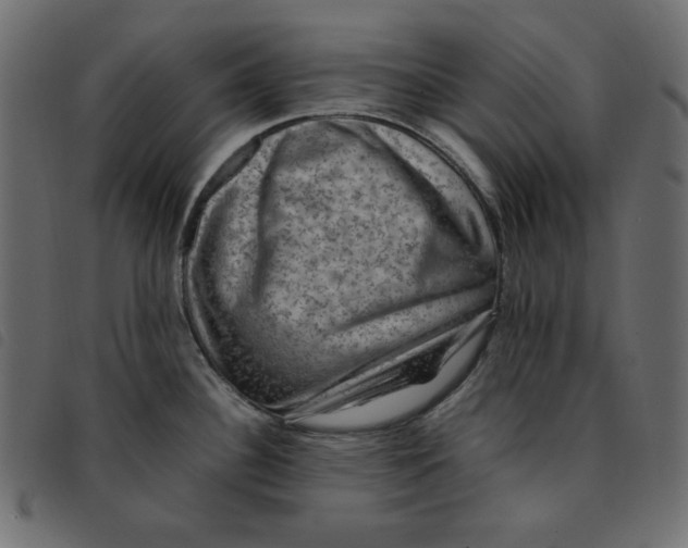 X0000092251340200710121251