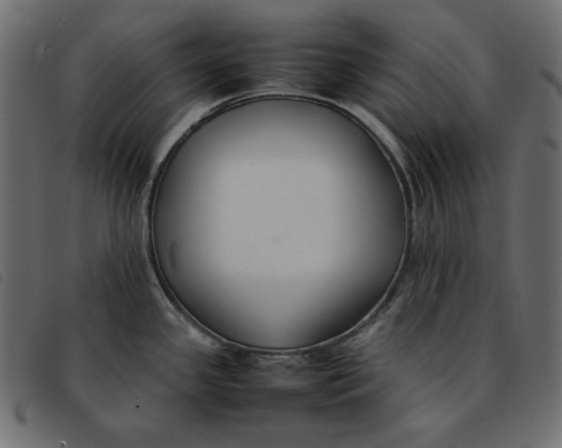 X0000092251341200710121251