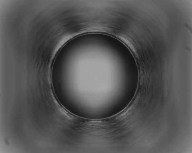 X0000092251342200710121251