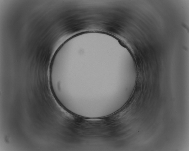 X0000092251343200710121251