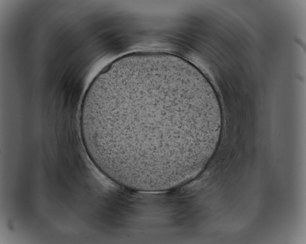 X0000092251344200710121251