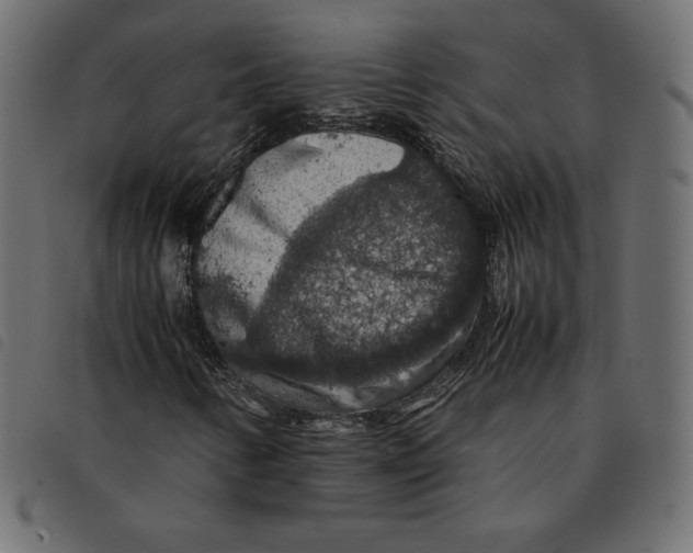 X0000092251346200710121250