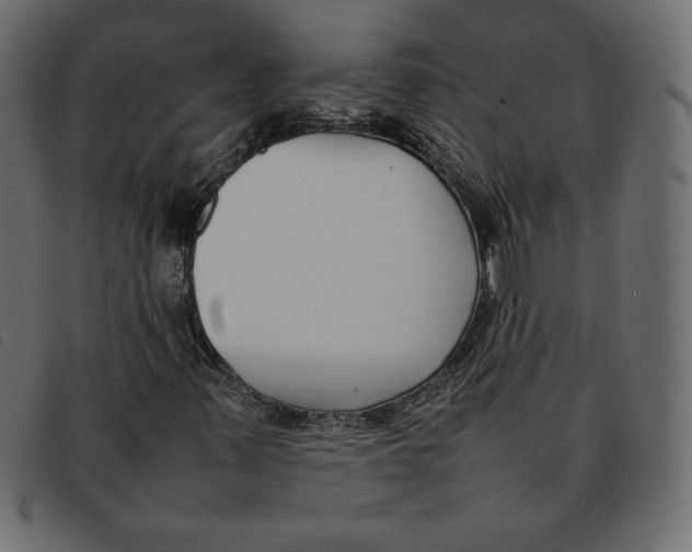 X0000092251347200710121250