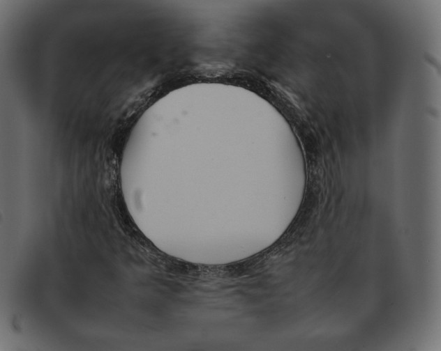 X0000092251349200710121250