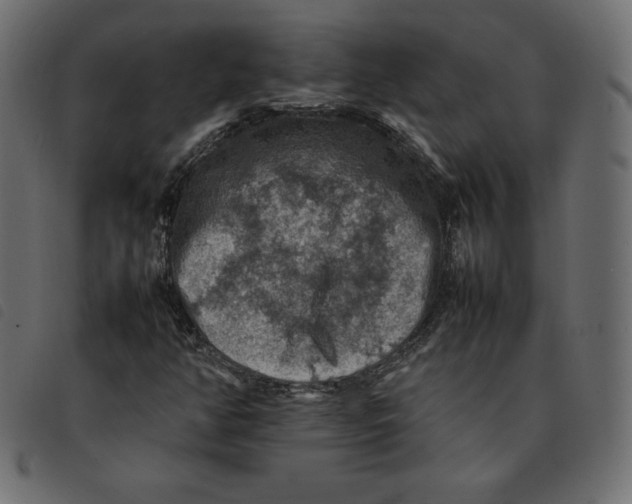 X0000092251350200710121250