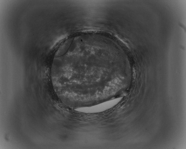 X0000092251351200710121250