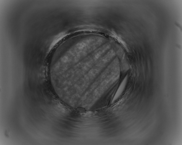 X0000092251352200710121250
