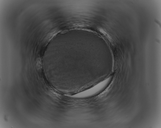 X0000092251353200710121250