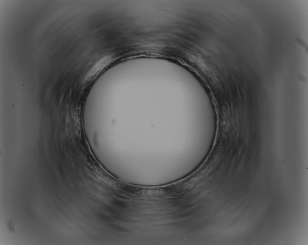 X0000092251354200710121250