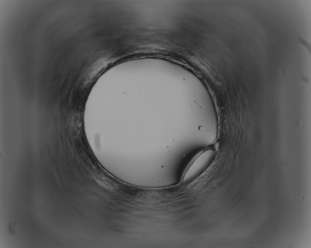 X0000092251355200710121250