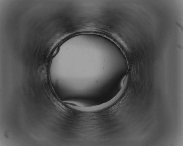 X0000092251356200710121250