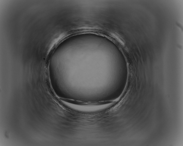 X0000092251357200710121250