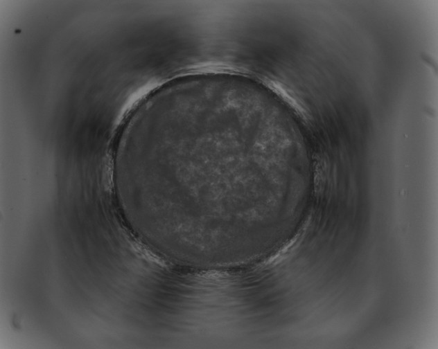 X0000092251358200710121250