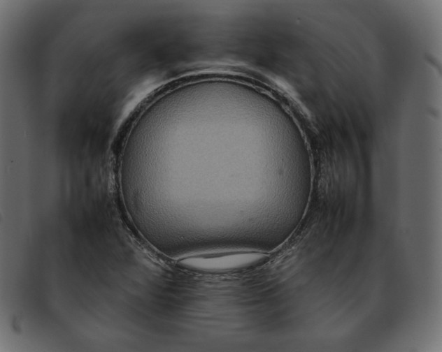 X0000092251360200710121250