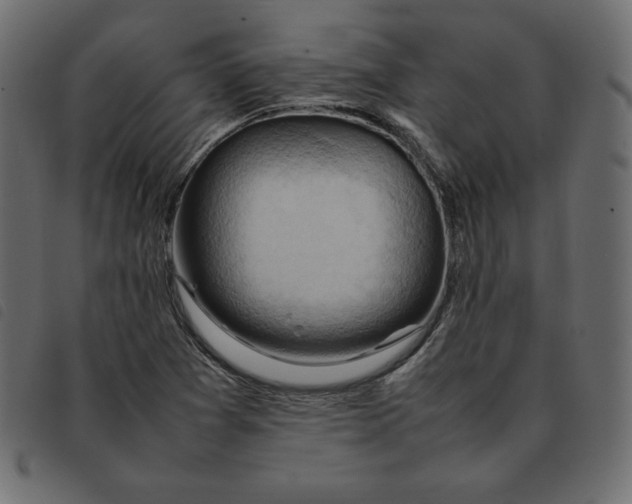 X0000092251361200710121250