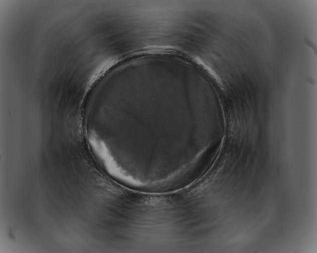 X0000092251362200710121250