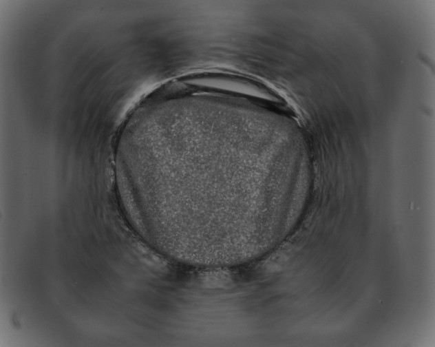 X0000092251363200710121250