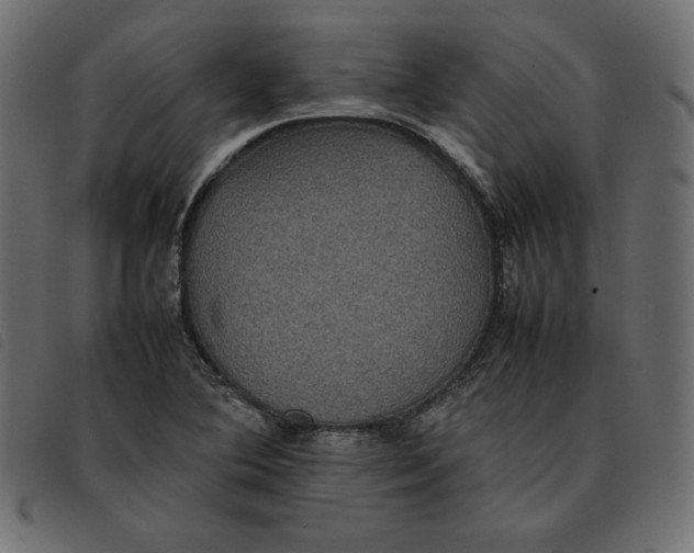 X0000092251364200710121250