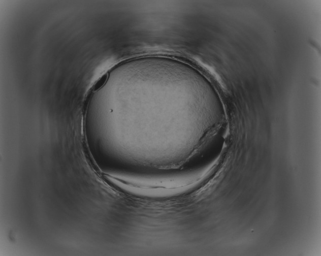 X0000092251365200710121250