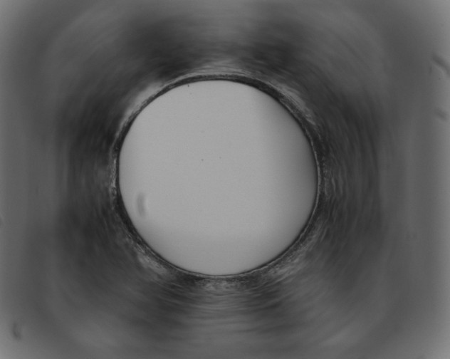 X0000092251366200710121250