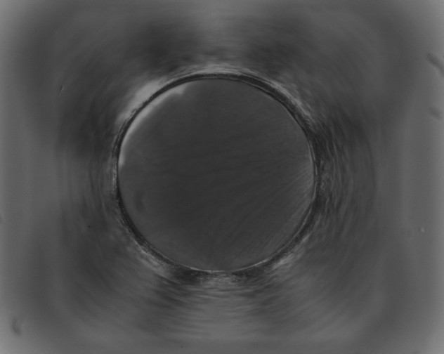 X0000092251367200710121250