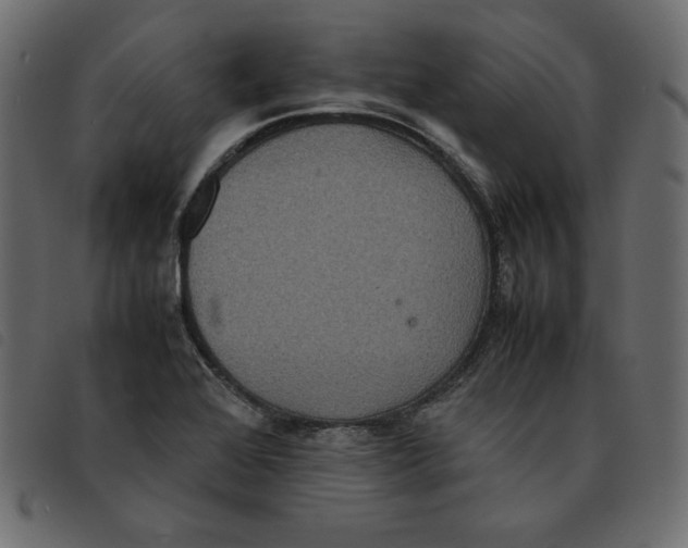 X0000092251368200710121250