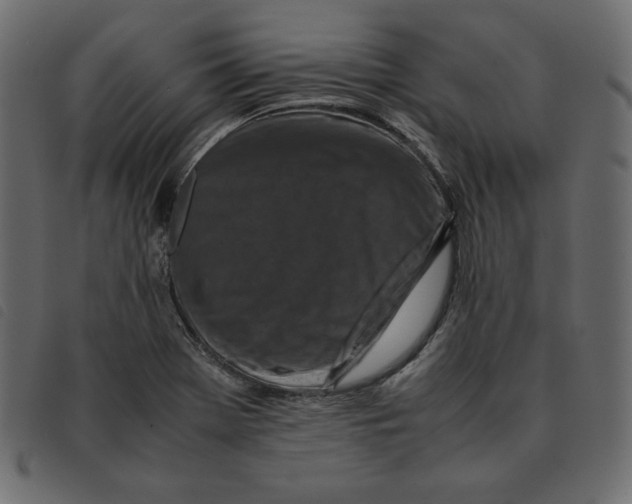 X0000092251369200710121250
