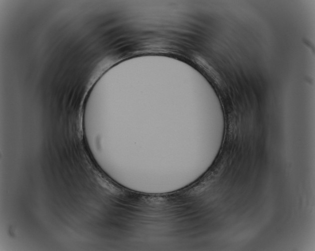 X0000092251370200710121250