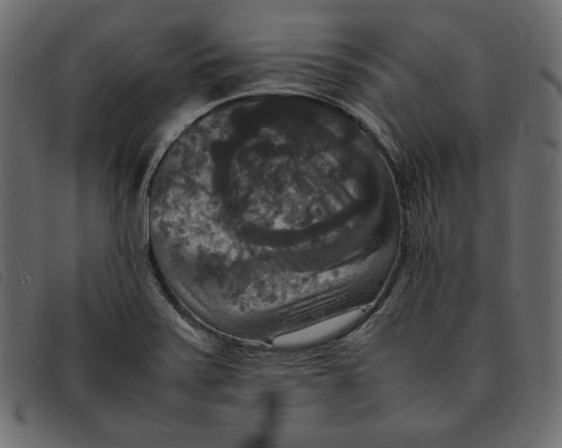 X0000092251371200710121250