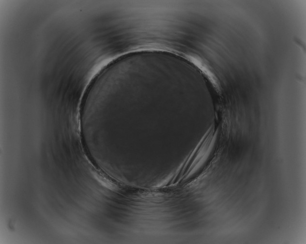 X0000092251372200710121250