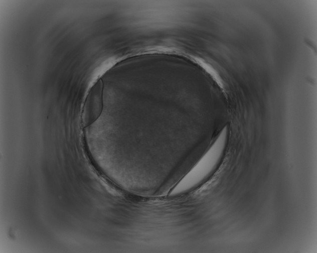 X0000092251373200710121250