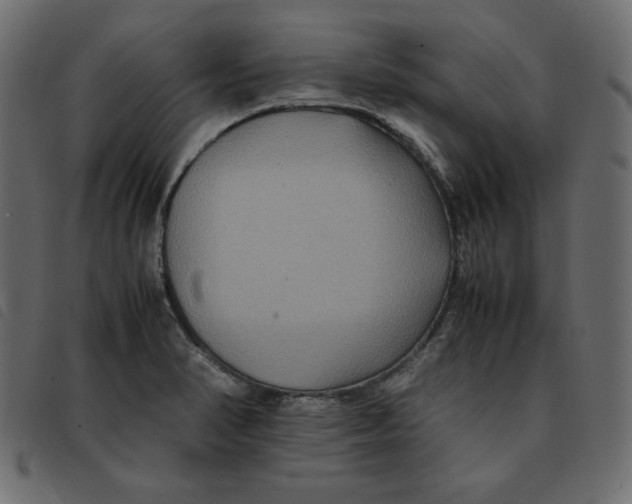 X0000092251374200710121250