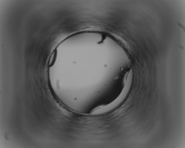 X0000092251375200710121250