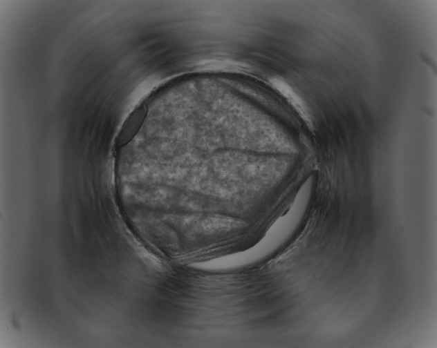 X0000092251376200710121250