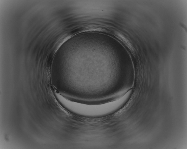 X0000092251377200710121250