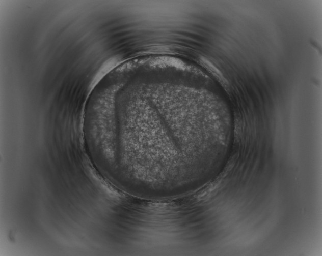X0000092251378200710121250