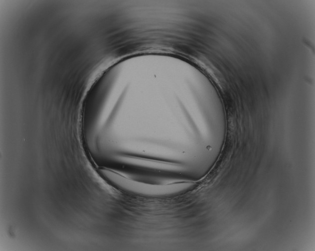 X0000092251379200710121250
