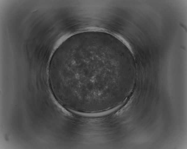 X0000092251381200710121250
